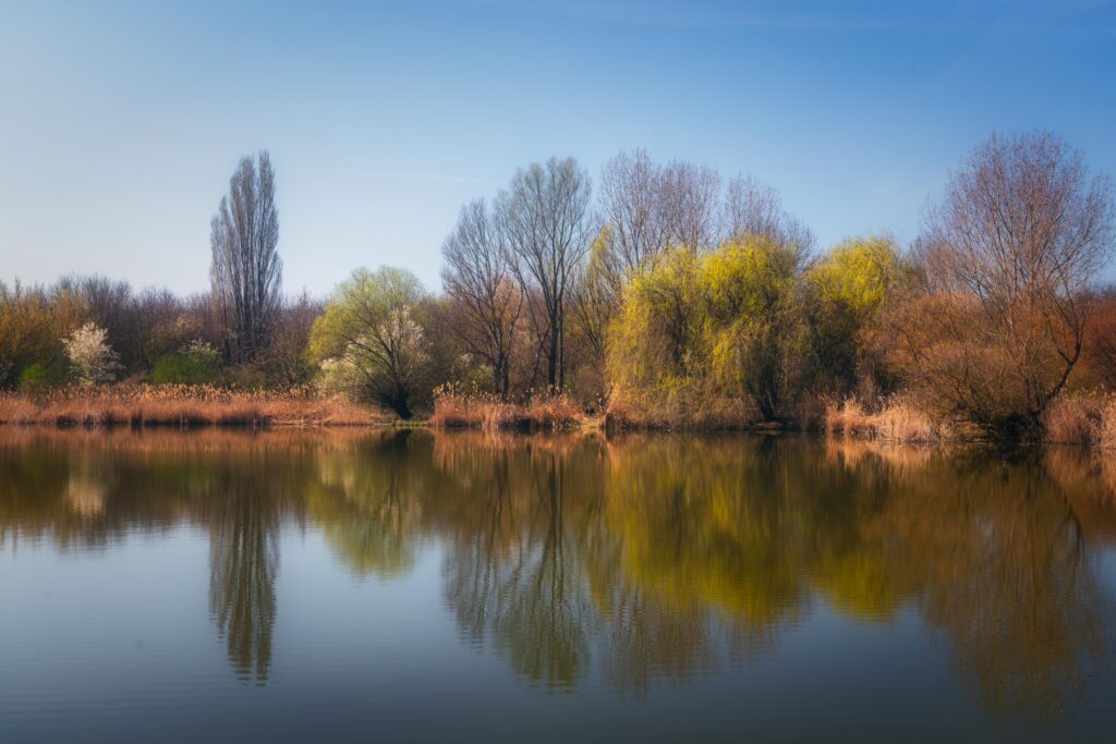 Exploring Siófok Töreki Tanösvény: A Nature Lover’s Paradise